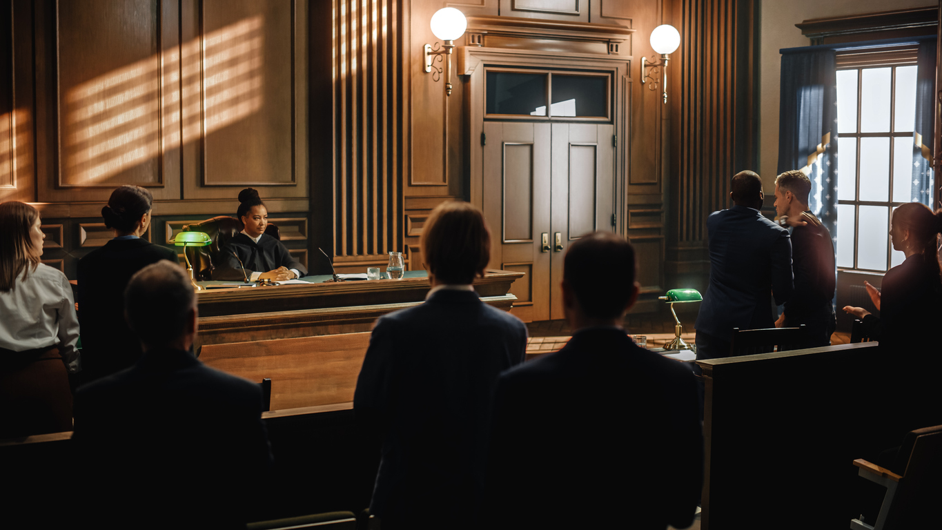 Litigation — resolving disputes through the court system
